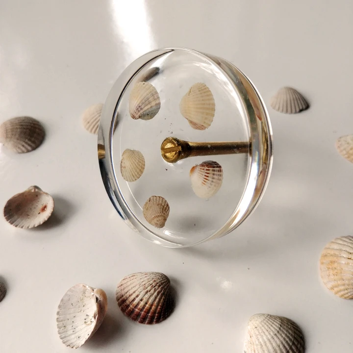 knobs with seashells 1