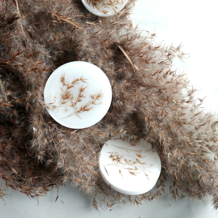 white lnobs grass 2