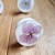 lilac knob with white back 2.jpg