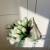 sphere knobs ball grass white 8.jpg