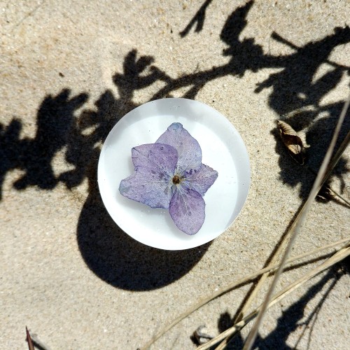 blue hydrangea knob white back 2.jpg