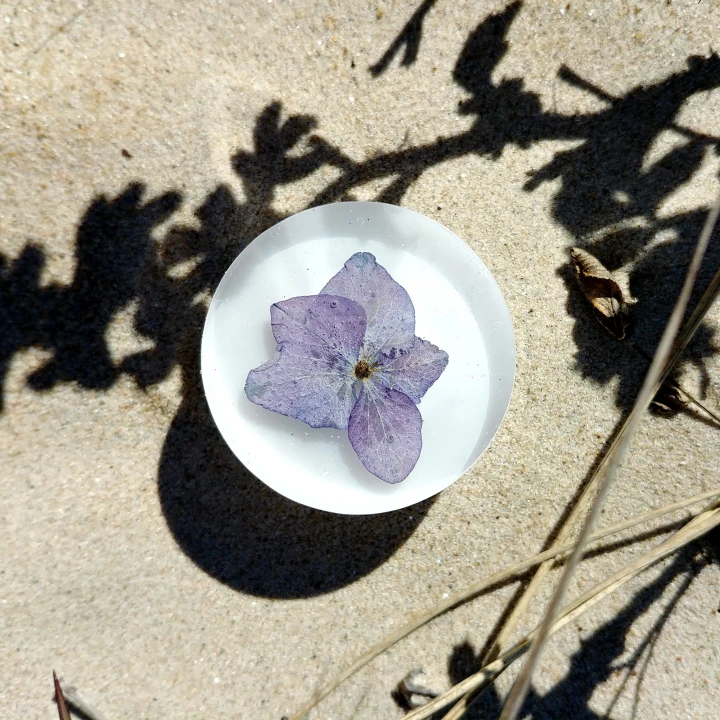 blue hydrangea knob white back 2.jpg