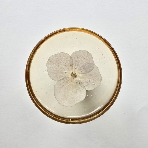 13_uchwyt meblowy botaniczny biały 1.jpg