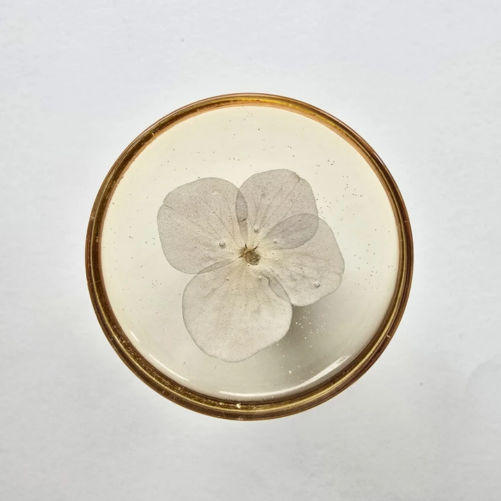 13_uchwyt meblowy botaniczny biały 1.jpg