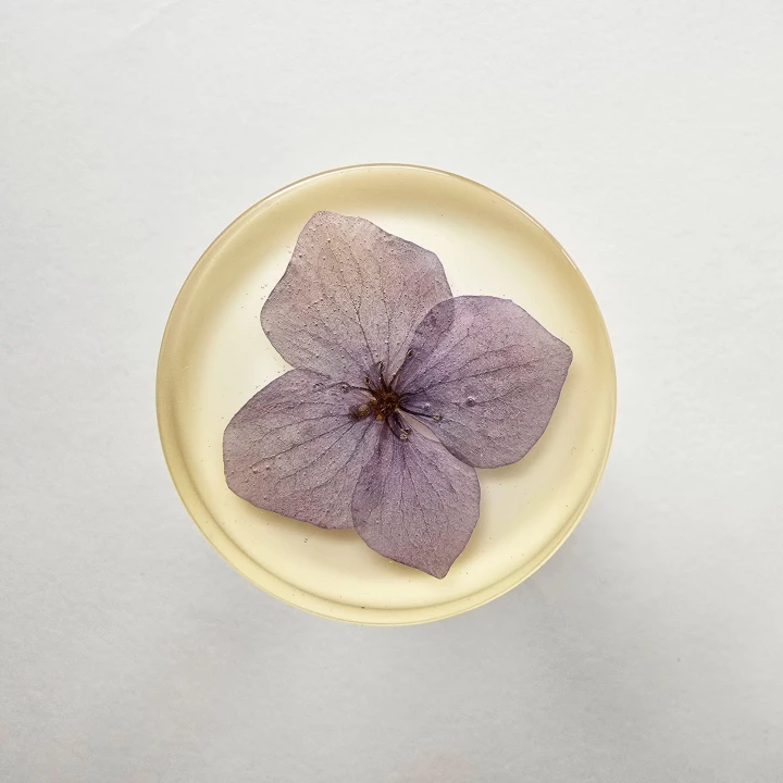 16_uchwyt meblowy botaniczny 1.jpg