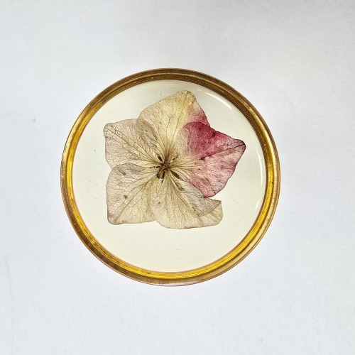 46_gałi botaniczne.jpg