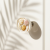 knobs with shels.png