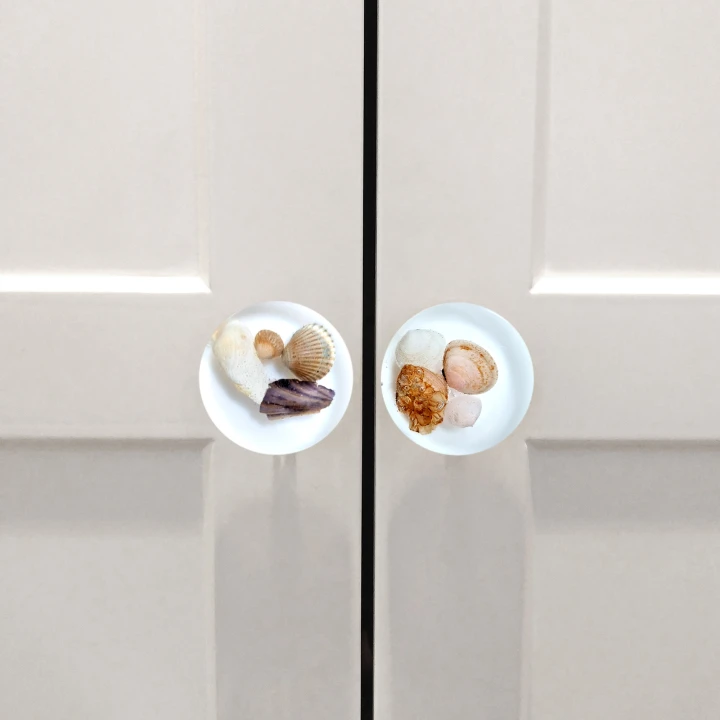 seashells knobs 5.jpg