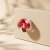 fruit knobs.png