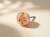 101.png